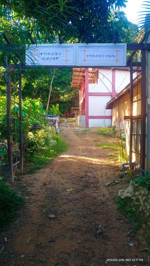 Forest Inn El Nido Dış mekan fotoğraf