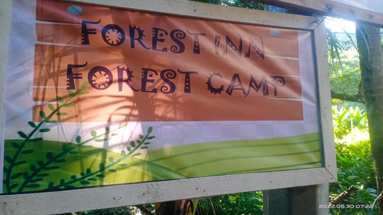 Forest Inn El Nido Dış mekan fotoğraf