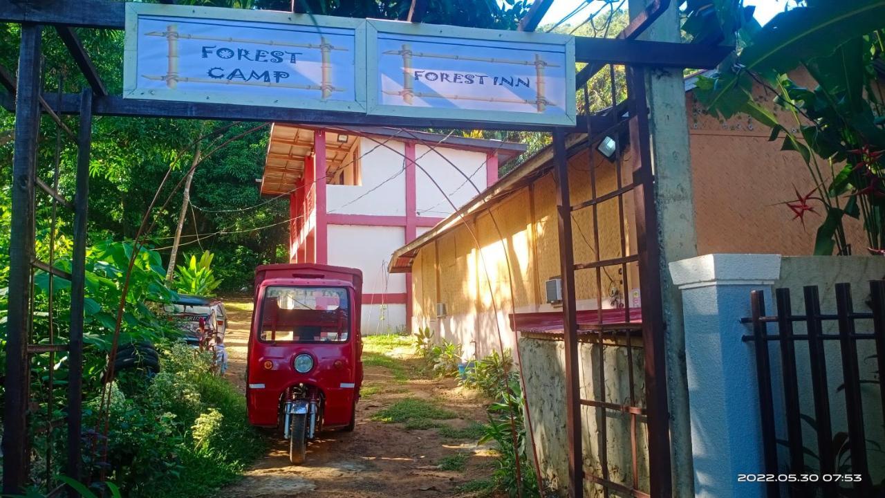Forest Inn El Nido Dış mekan fotoğraf